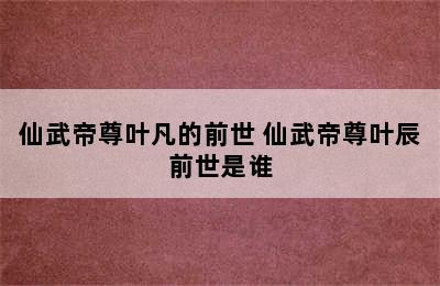 仙武帝尊叶凡的前世 仙武帝尊叶辰前世是谁